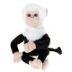 Maimutica Buclucasa Dave-The Cheeky Monkey
